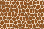 キリン02・フリーテクスチャ（Giraffe02）