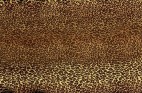 ヒョウ柄・フリーテクスチャ（Leopard03）