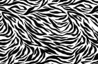 ゼブラ・フリーテクスチャ（zebra05）