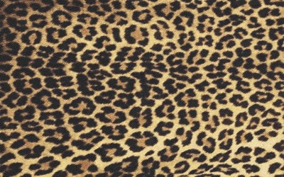 ヒョウ柄・フリーテクスチャ（Leopard01）