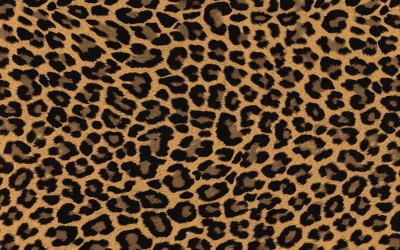 ヒョウ柄・フリーテクスチャ（Leopard02）