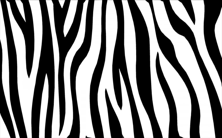 シマウマ（Zebra03）