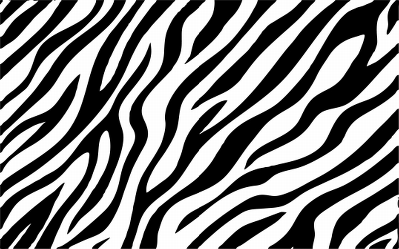 フリーテクスチャ素材館 シマウマ Zebra06